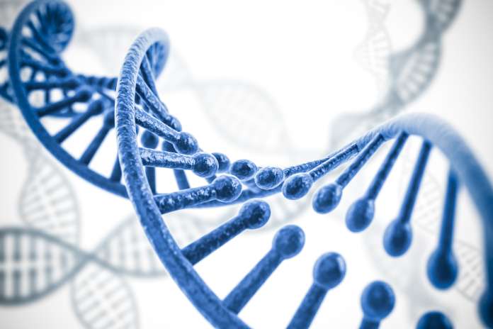 60ed66a8be1c9ee6e8190c8adc31fe62 Recursion Reports Second Quarter Financial Results; Genentech Options First Neuroscience Target into Early Discovery Program