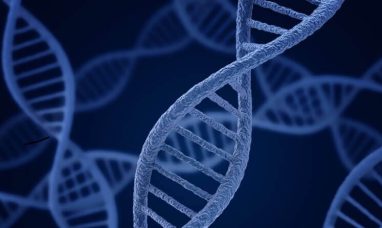 20/20 BioLabs Reschedules Investor Webinar to 2:00 p.m. Eastern Time on September 2, 2026 to Discuss OneTest™ Rev...