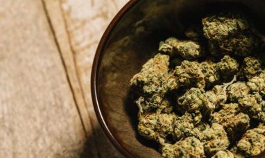 High Tide Continues Canadian Expansion with Three New Canna Cabana Locations