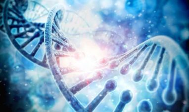 BioNTech and DualityBio Announce Topline Results of the DYNASTY-Breast02 Global Phase 3 Clinical Trial Evaluating...